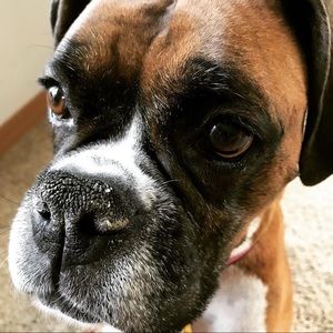 Meet your Posher, Miho